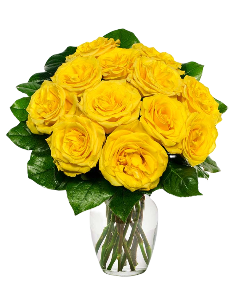 11 Yellow Roses in Vasea
